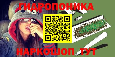 гашик Абакан