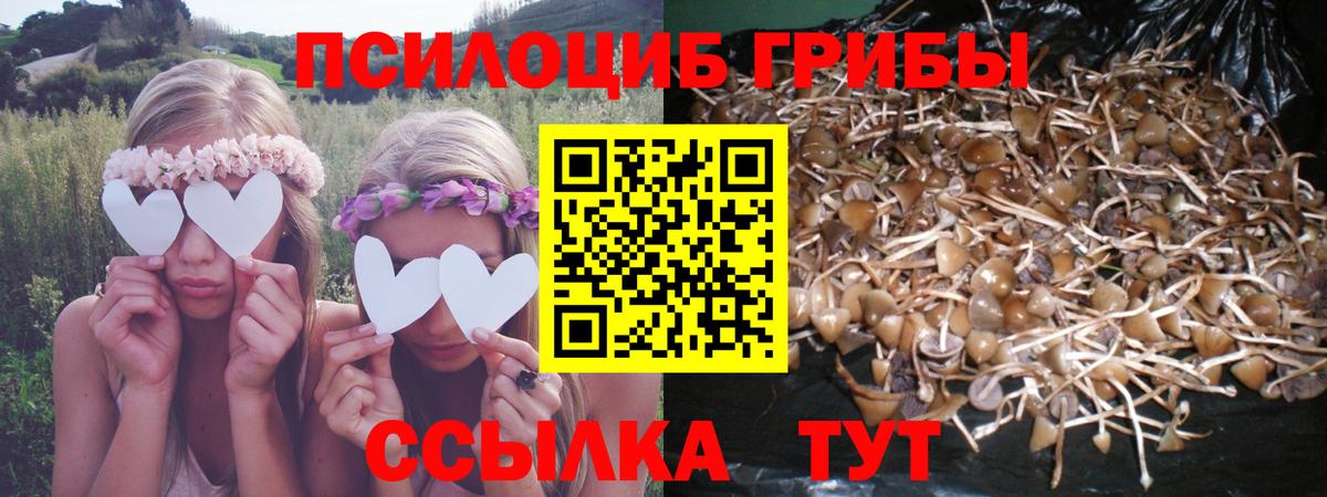 Алексин  как найти наркотики  Вход с VPN  Галлюциногенные грибы мухоморы  Псилоцибиновые грибы прущие грибы 