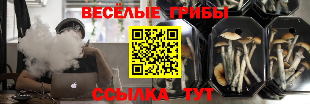Галлюциногенные грибы прущие грибы Алексин